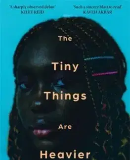 The Tiny Things Are Heavier - Esther Ifesinachi Okonkwo