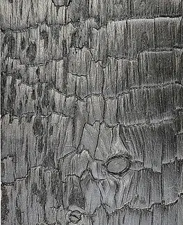 Fasádne palubovky profil Z OPAĽOVANÝ SMRK 20 × 120 × 3600 mm | carbon