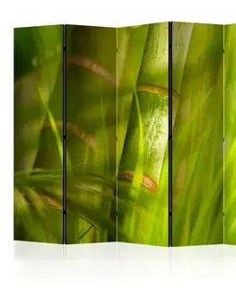 Paraván Bamboo - nature zen Dekorhome