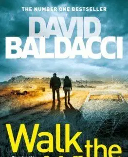 Walk the Wire - David Baldacci