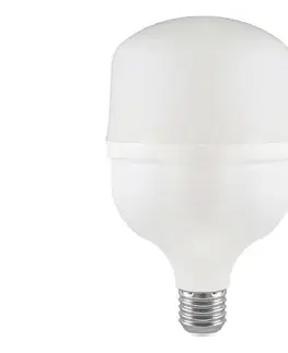  LED žiarovka T100 E27, 30 W, 230 V, 6500 K 23571
