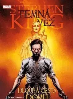 Temná věž Dlouhá cesta domů - David Peter, Stephen King