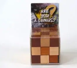 RecentToys Are you a Genius - RecentToys 