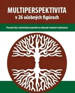 Multiperspektíva v 26 učebných figúrach - Kratochvíl Viliam