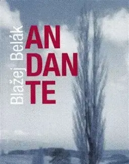 Andante - Blažej Belák