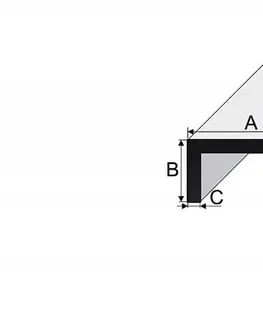 Rohový profil nerovnoramenný Stříbro E01 tl. 2 mm