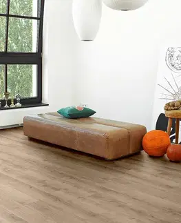 PARADOR Modular one hydron Dub pure perlovo šedý štruktúra dreva 1746935