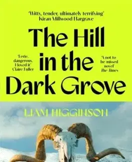 The Hill in the Dark Grove - Liam Higginson