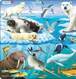 Puzzle Arktický ľad - zvieratá Larsen FH11-ZZ