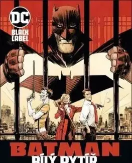 Batman: Bílý rytíř - Murphy Sean, Štěpán Kopřiva