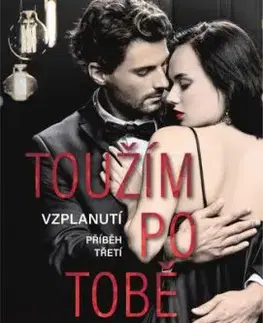 Toužím po tobě - J. T. Geissinger