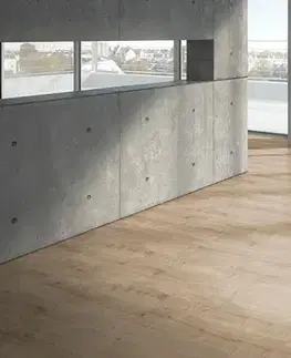 PARADOR Basic 400 Dub brúsený jemne matná štruktúra 1426462