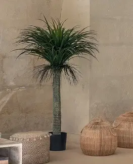 DEOKORK Umelé kvety YUCCA 150 cm