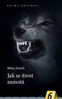 Jak se život zamotá - Krimi povídky 6 - Milan Dušek