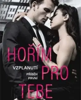 Hořím pro tebe - J. T. Geissinger