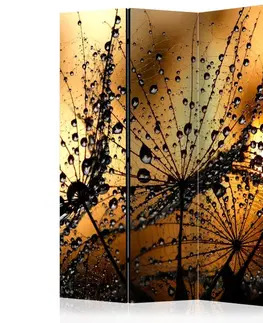 Paraván Dandelions in the Rain Dekorhome
