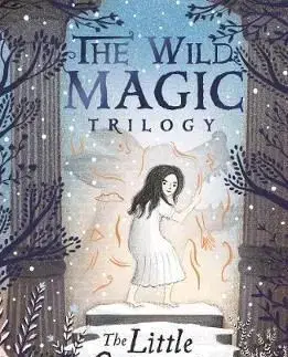 The Little Grey Girl (The Wild Magic Trilogy, Book Two) - Celine Kiernan