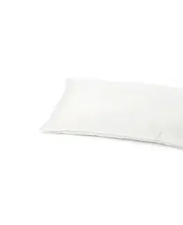 Vankúš podobný páperiu irisette®, 70 x 90