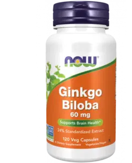 NOW Foods Ginkgo Biloba 60 mg
