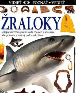 Žraloky - Miranda Macquittyová