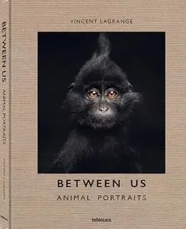 Between Us: Animal Portraits - Vincent Lagrange