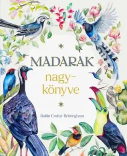 Madarak nagykönyve - Robin Crofut-Brittingham
