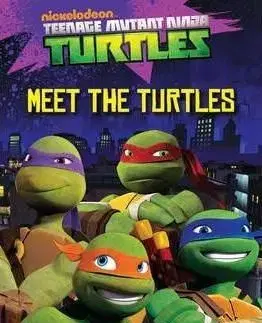 Teenage Mutant Ninja Turtles: Meet the turtles! - Fiona Davis