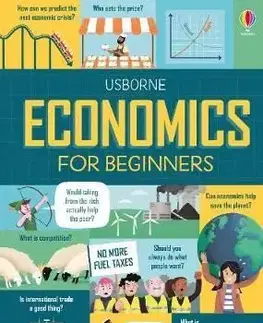 Economics for Beginners - Federico Mariani