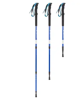 inSPORTline Altiplano 100 Pair modré