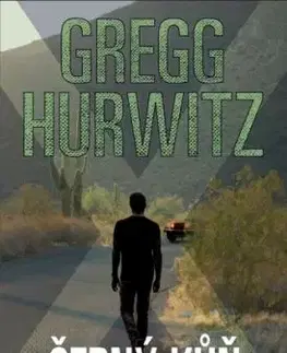 Černý kůň - Gregg Hurwitz