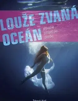 Louže zvaná oceán - Zdeněk Král