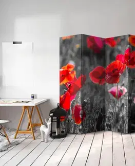 Paraván Red Poppies Dekorhome
