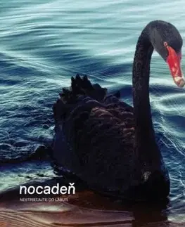 Nocadeň - Nestrieľajte do labutí LP - Nocadeň