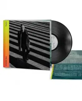 Sting - The Bridge LP - Sting