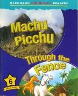 Machu Picchu Through the Fence - Murray Pile