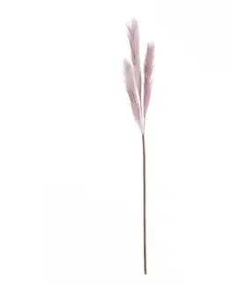 Dekoria Pampová tráva 100cm lilac, 2 x 2 x 100 cm