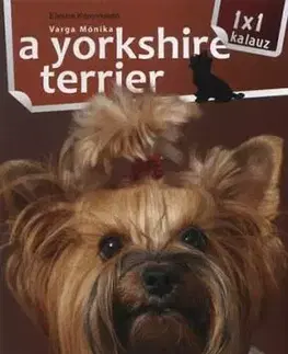 A yorkshire terrier - Monika Varga