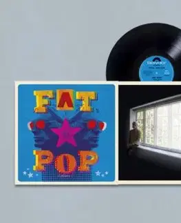 Weller Paul - Fat Pop LP - Paul Weller