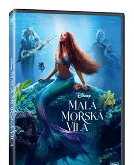 Malá mořská víla DVD