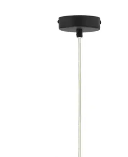 Závesná lampa Greniko čierna 1x40W E14 priehľadné tienidlo