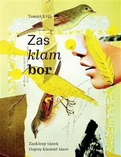 Zasklambor - Tomáš Král