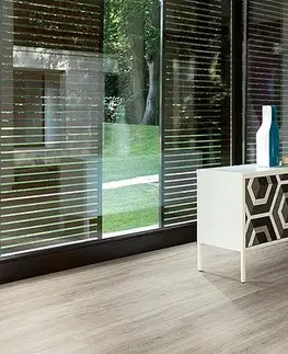 PARADOR Basic 30 Dub pastelovo sivý štruktúra dreva 1513441