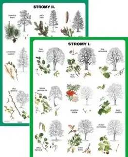 Stromy I./Stromy II. - A5 karta
