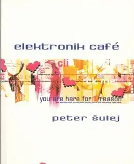 Elektronik café - Peter Šulej