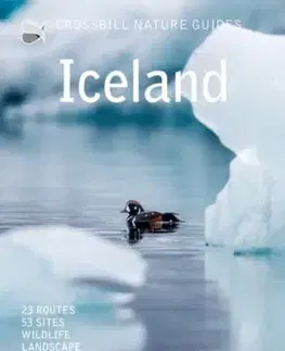 Iceland - Dirk Hilbers