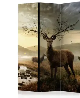 Paraván Deers by mountain stream Dekorhome