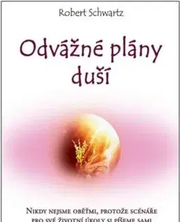 Odvážné plány duší - Robert Schwartz