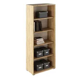 KONDELA Rioma Typ 03 regál dub artisan / biela