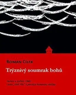 Trýznivý soumrak bohů - Roman Cílek