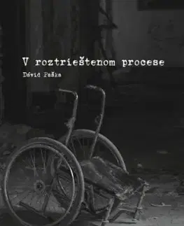 V roztrieštenom procese - Dávid Paška